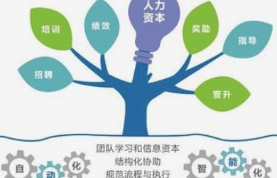 人力资源管理系统有哪些常用的功能？